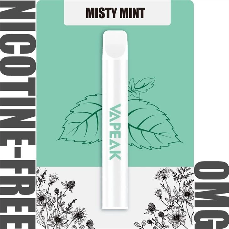 Vapeak Disposable 600 Puffs Vapeak Disposable 600 Puffs