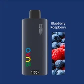 2024 OVNS Dual Mesh Coil 6000 puffs Disposable