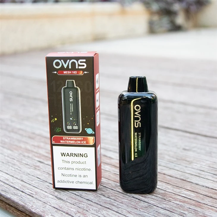 Best Popular Disposable E-Cigarette Vape Brand 2025 Best Popular Disposable E-Cigarette Vape Brand 2025